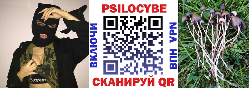 наркота Собинка Псилоцибиновые грибы прущие грибы